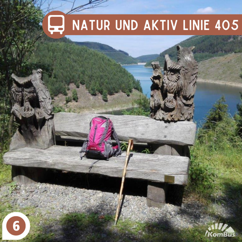 Natur-und -Aktiv Linie 405-Saalfeld-Neuhaus-KomBus